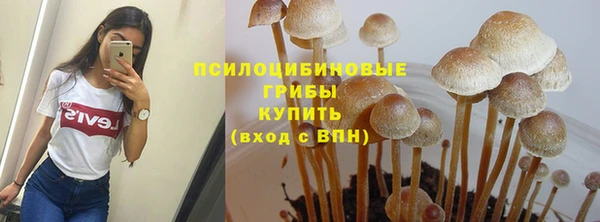 СК Навашино