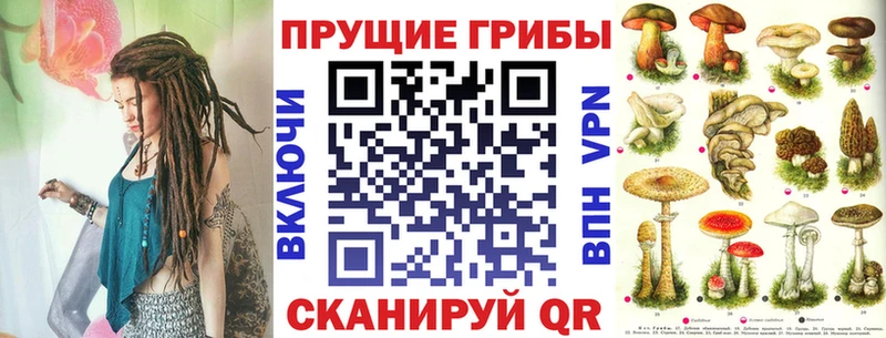 Псилоцибиновые грибы мицелий наркошоп Жигулёвск